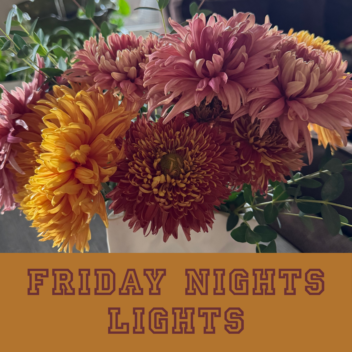 Chrysanthemum Collection: Friday Night Lights
