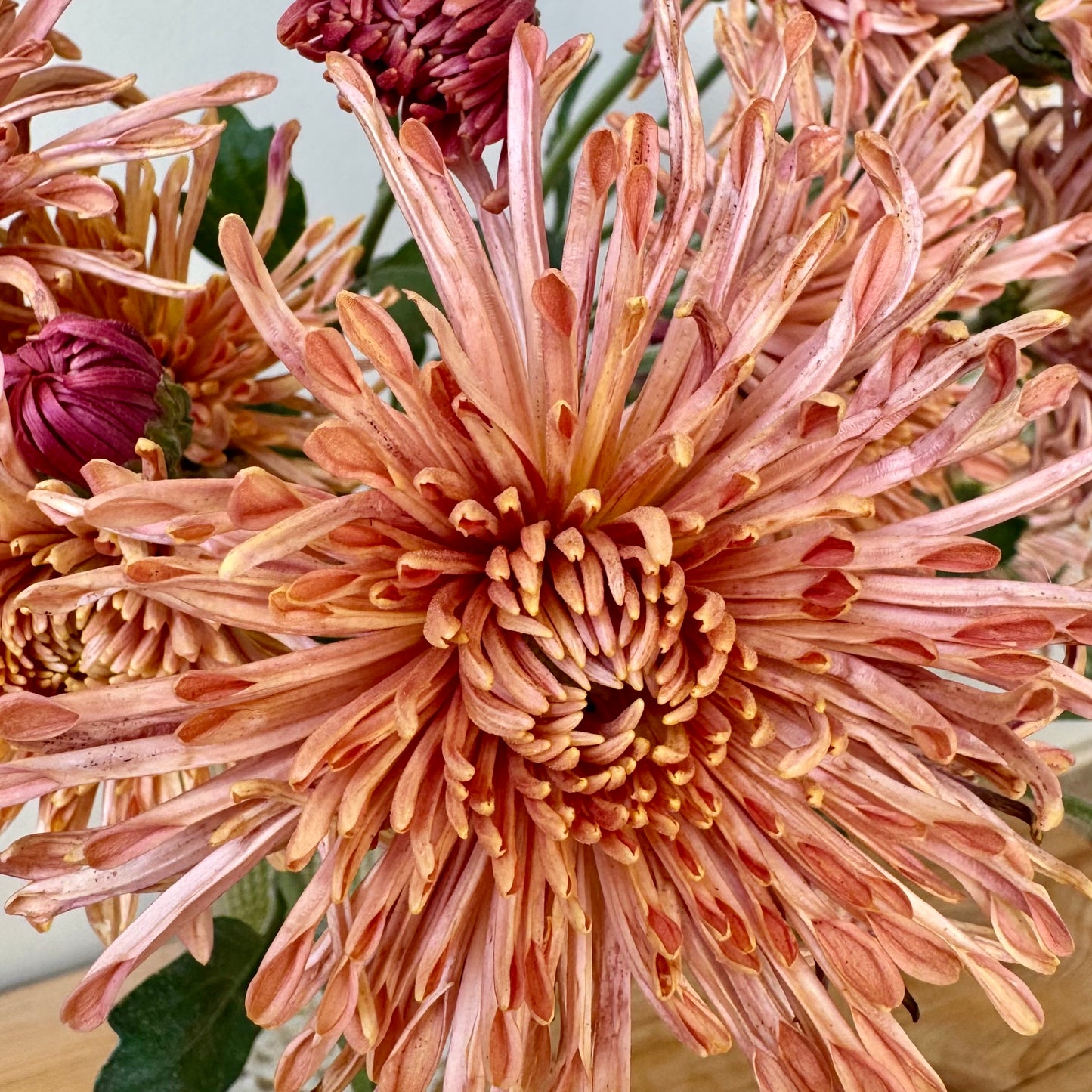 Chrysanthemum: Peach Centerpiece